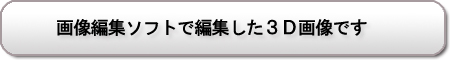 ３Ｄカメラで撮った３Ｄ写真です　ＰＳ３やパソコンで見る事が出来ます