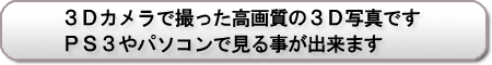 ３Ｄカメラで撮った３Ｄ写真です　ＰＳ３やパソコンで見る事が出来ます