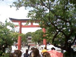 ３Ｄ写真の鎌倉鶴岡八幡宮