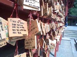 ３Ｄ写真の鎌倉鶴岡八幡宮